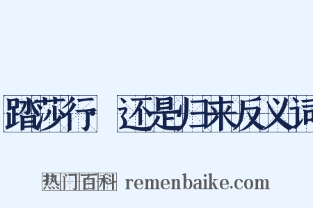 踏莎行·还是归来反义词是什么意思的图片